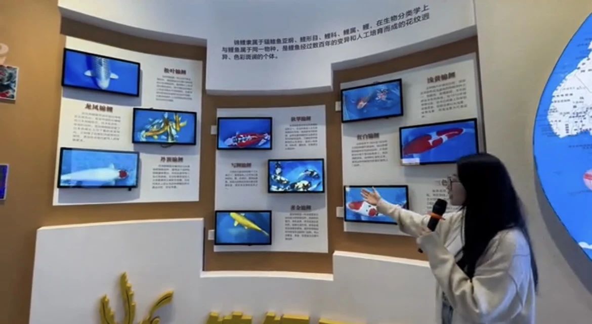 suncitygroup太阳集团
