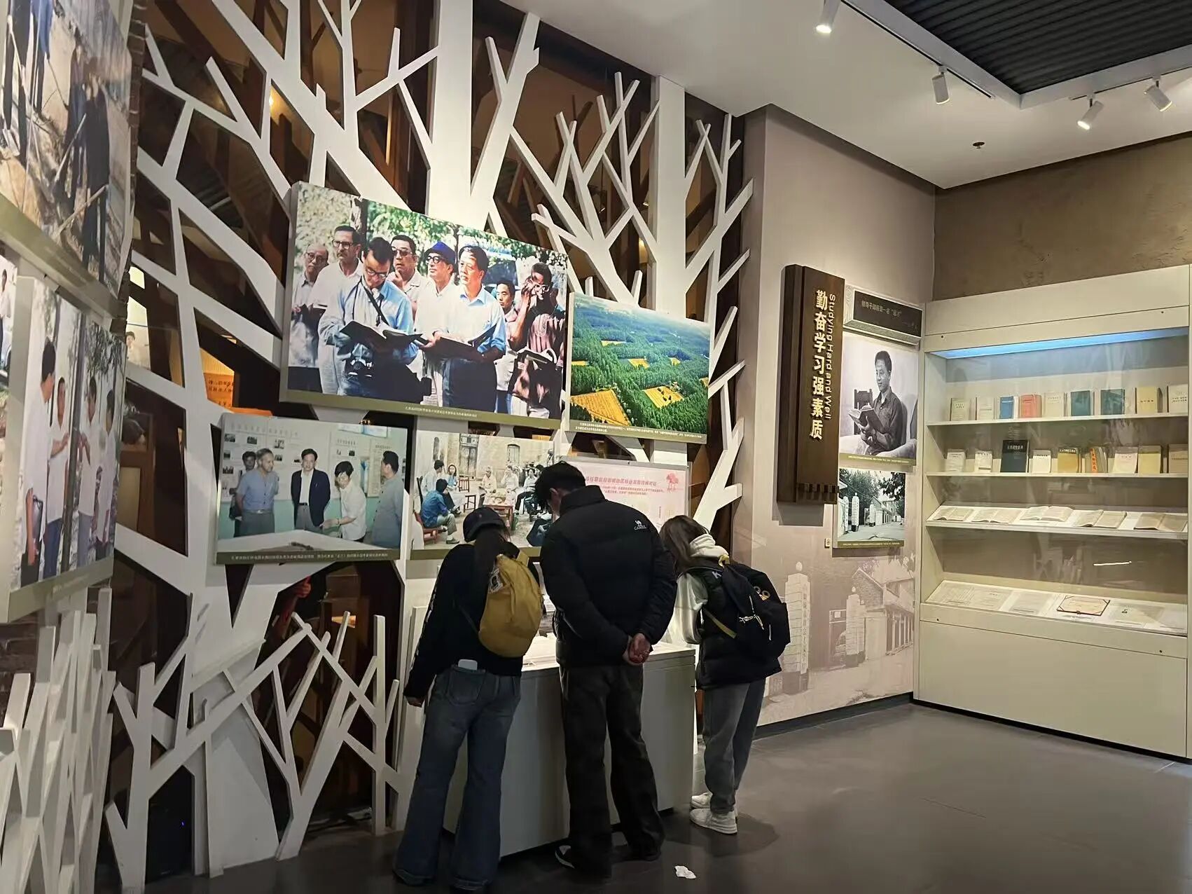 suncitygroup太阳集团
